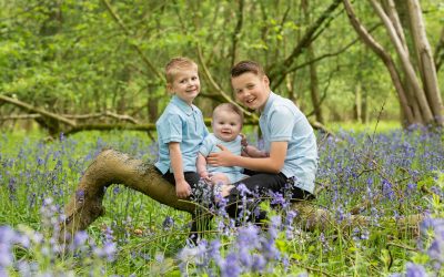 Bluebell woods near me