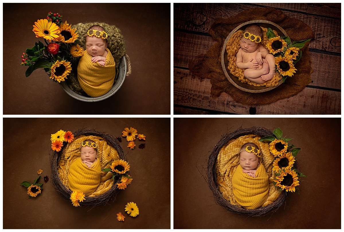 baby photographer boston baby photography studio boston