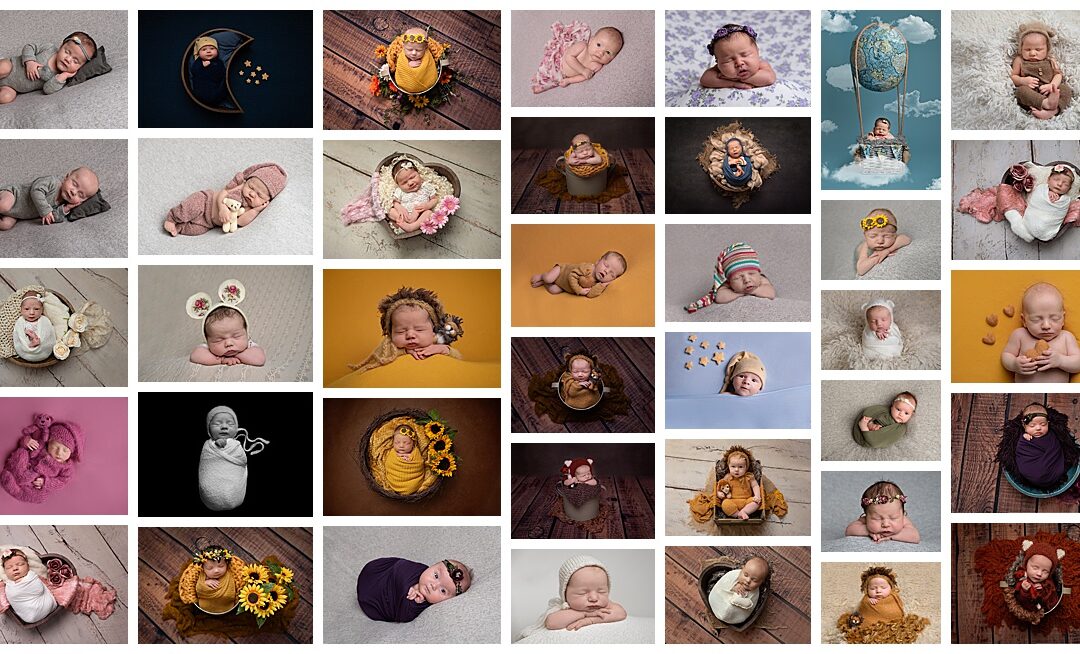 Photography Studio 2020 review